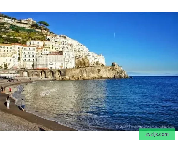 天堂岛最新版在线bt天堂，揭秘其暗藏的风险与真相！ 